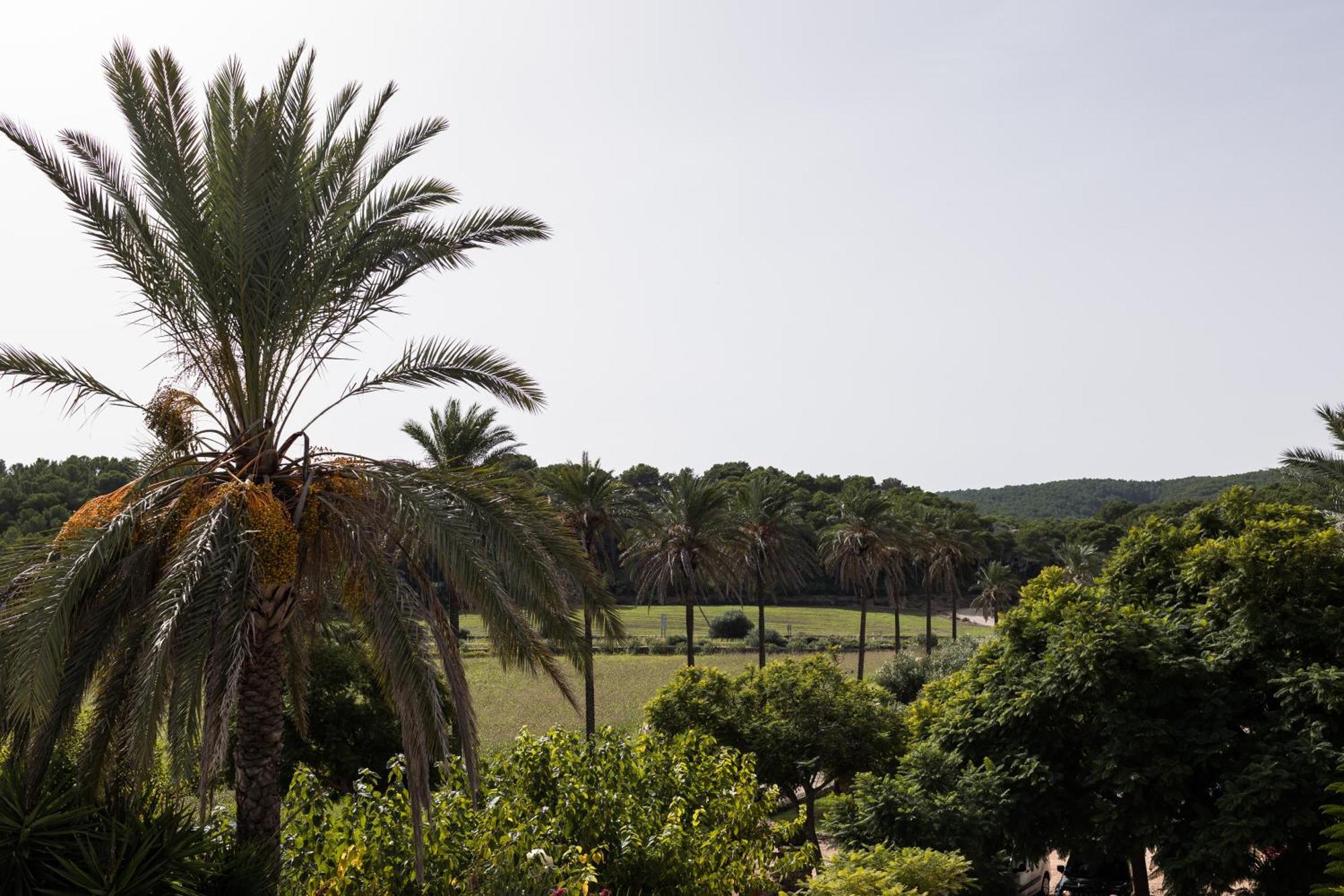 Llucatx Menorca Hotel Son Parc Kamer foto